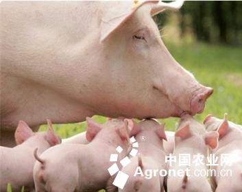 农业物联网